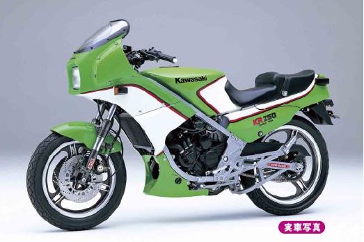 Kawasaki KR250 - 1:12