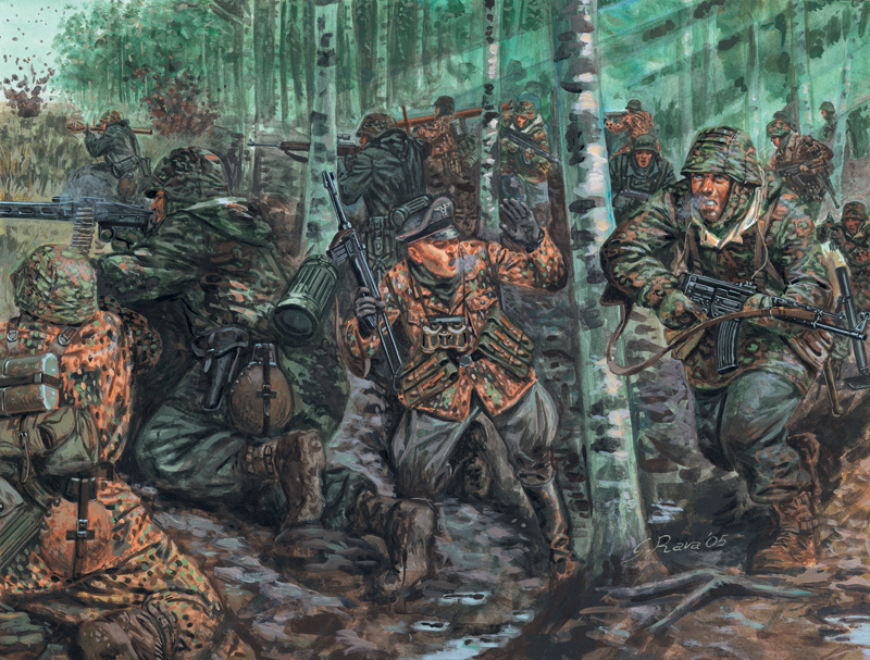 German Elite Troops - WWII