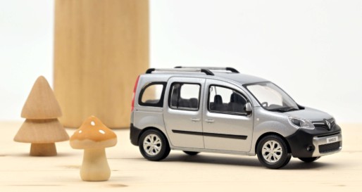 Renault Kangoo Street 2013 Zilver - 1:43
